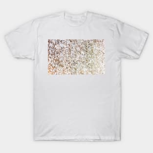 Abstract Ice on Window T-Shirt